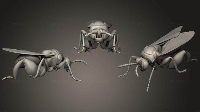 Статуэтки животных (Жуки-насекомые 7, STKJ_1728) 3D модель для ЧПУ станка